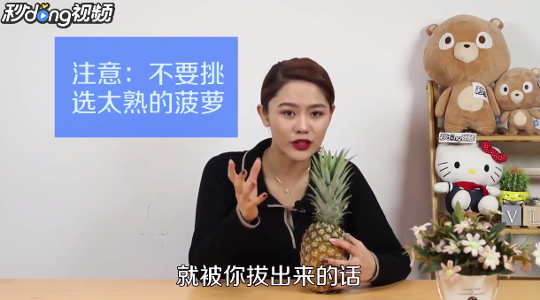 怎么在家种植一棵菠萝