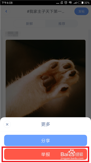 子弹短信怎么举报违规帖子