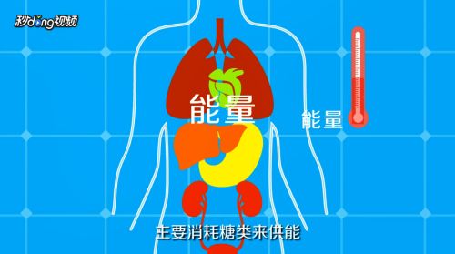有氧运动和无氧运动有什么区别 百度经验 有氧运动和无氧运动有什么区别 百度经验
