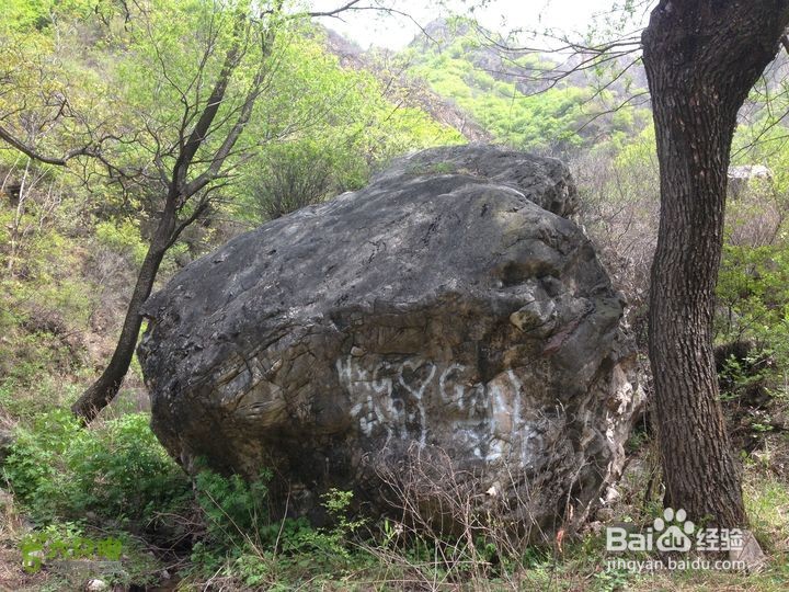 定襄南庄旅游攻略