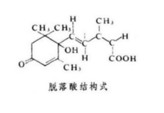 红心猕猴桃怎么放熟
