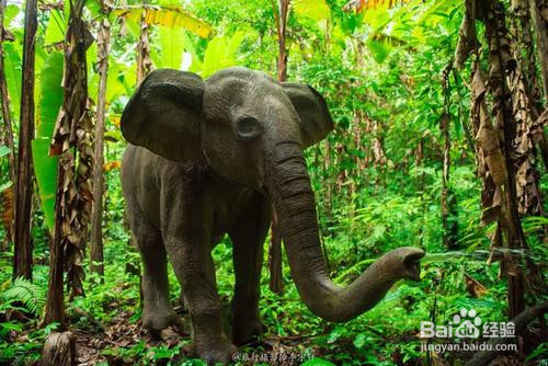 到云南旅游，有哪些值得去的景点呢？