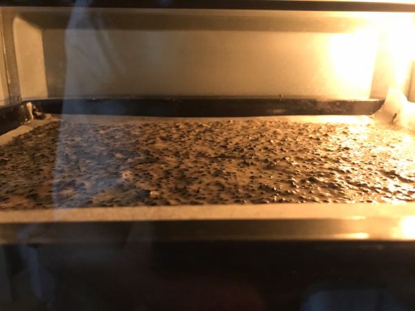 蛋白芝麻小饼干