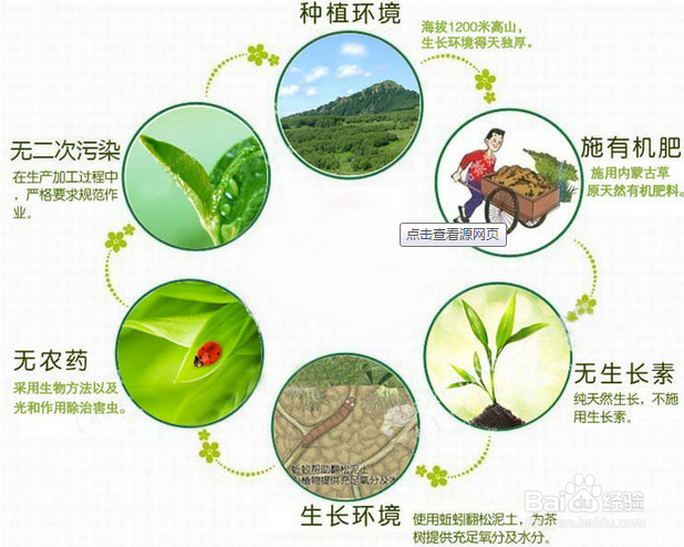 红茶的功效and作用