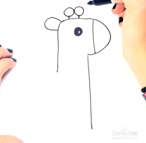 简笔画教程——如何用彩笔一步一步画长颈鹿-百度经验