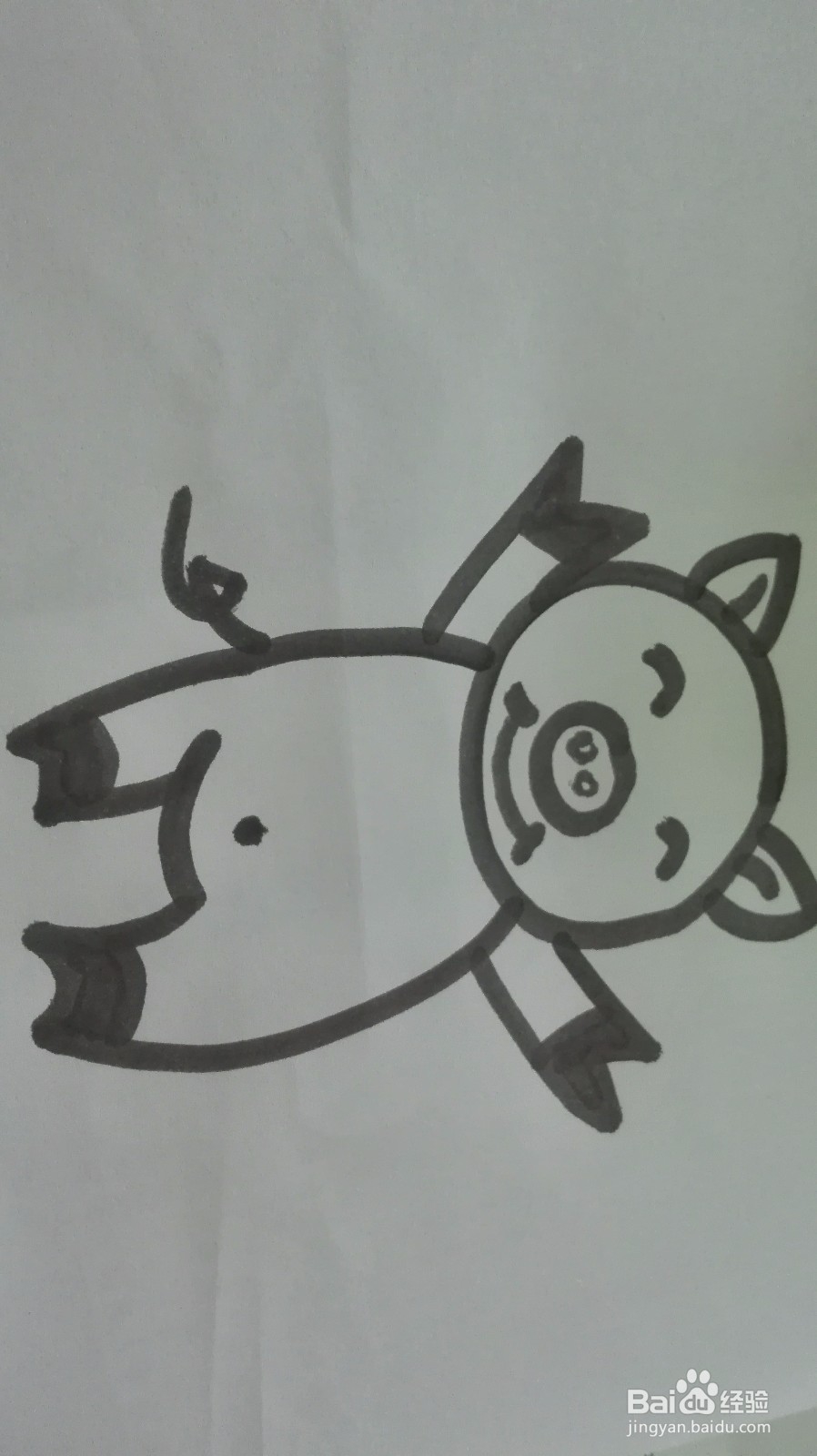 如何画出可爱的小猪