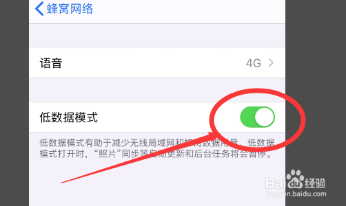 iPhone11如何开启低数据模式?