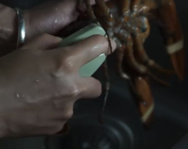 盐焗波士顿龙虾