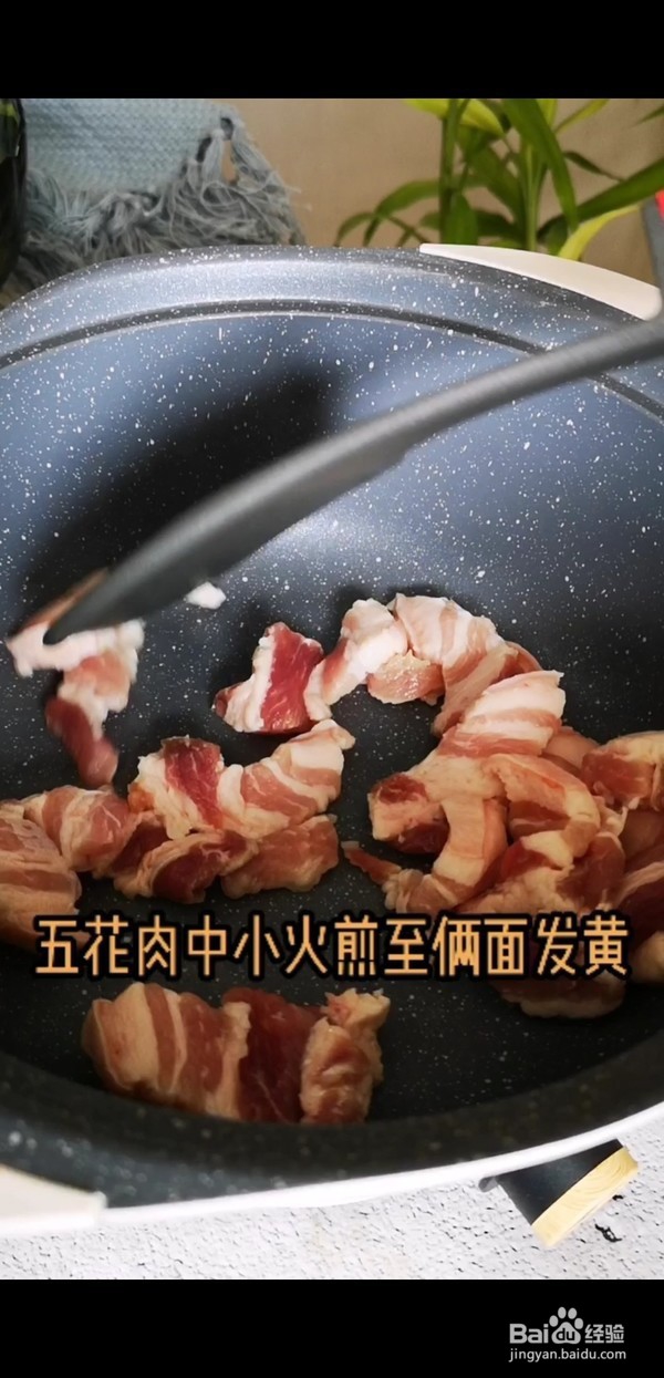 怎么做猪肉白菜炖粉条
