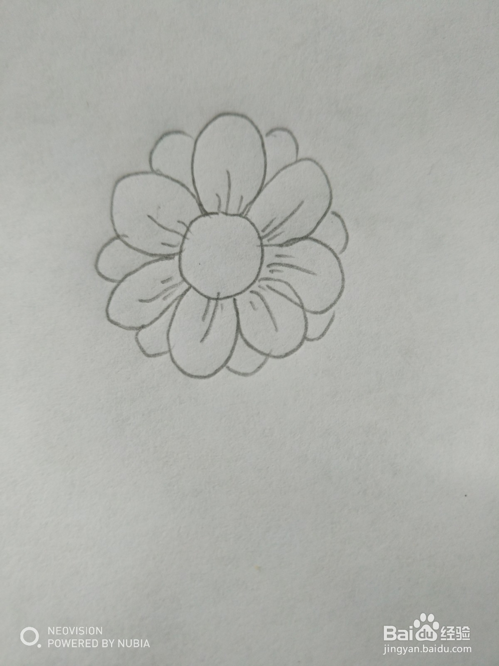简单的小花怎么画(六)