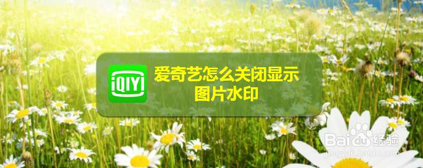 爱奇艺怎么关闭显示图片水印