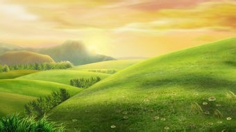 法院判决离婚的时间、及程序