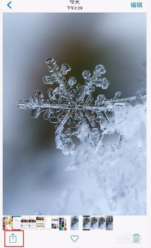 苹果手机高清壁纸怎么设置