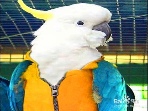 修图ps常用步骤