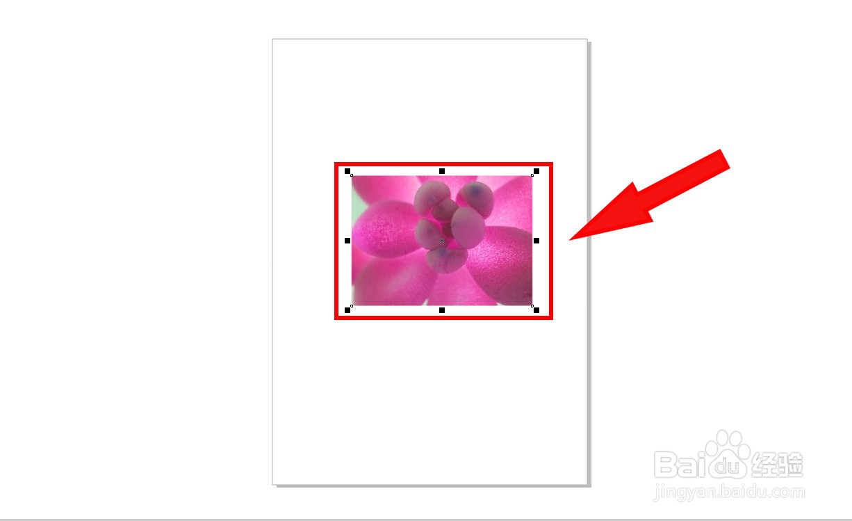 cdr图片水彩画设置