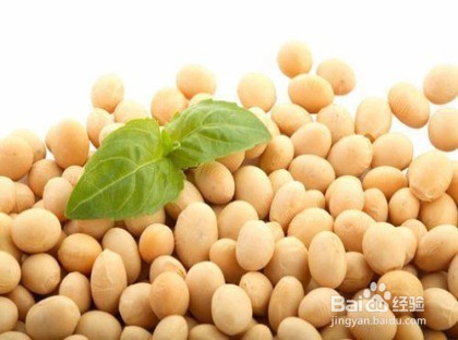 4种健康食物拯救白领亚健康