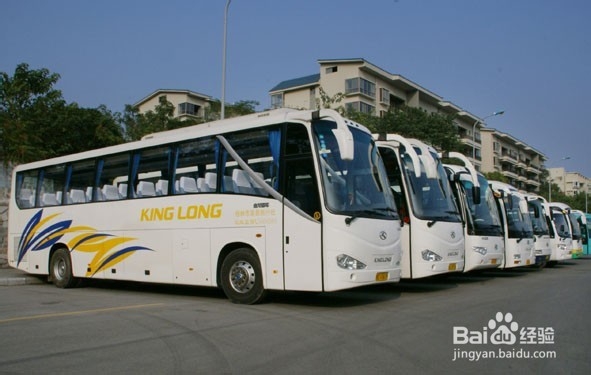 春运购买汽车票攻略大全