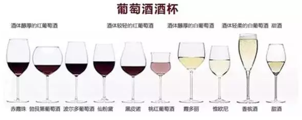 畅谈葡萄酒，跟《唐顿庄园》学习侍酒小技能