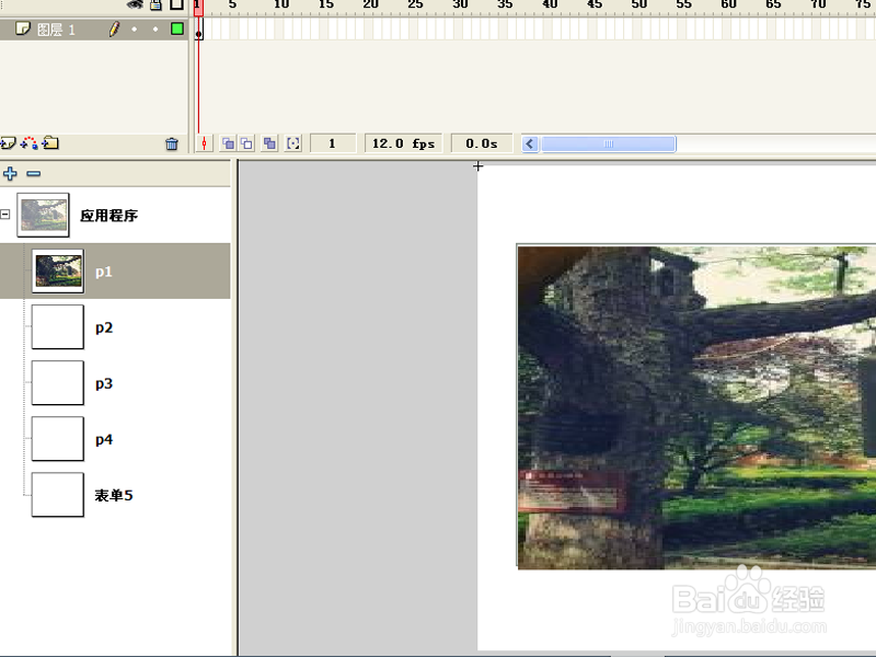 如何利用flash制作相册