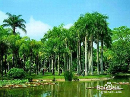 如何时尚旅行，健康出游