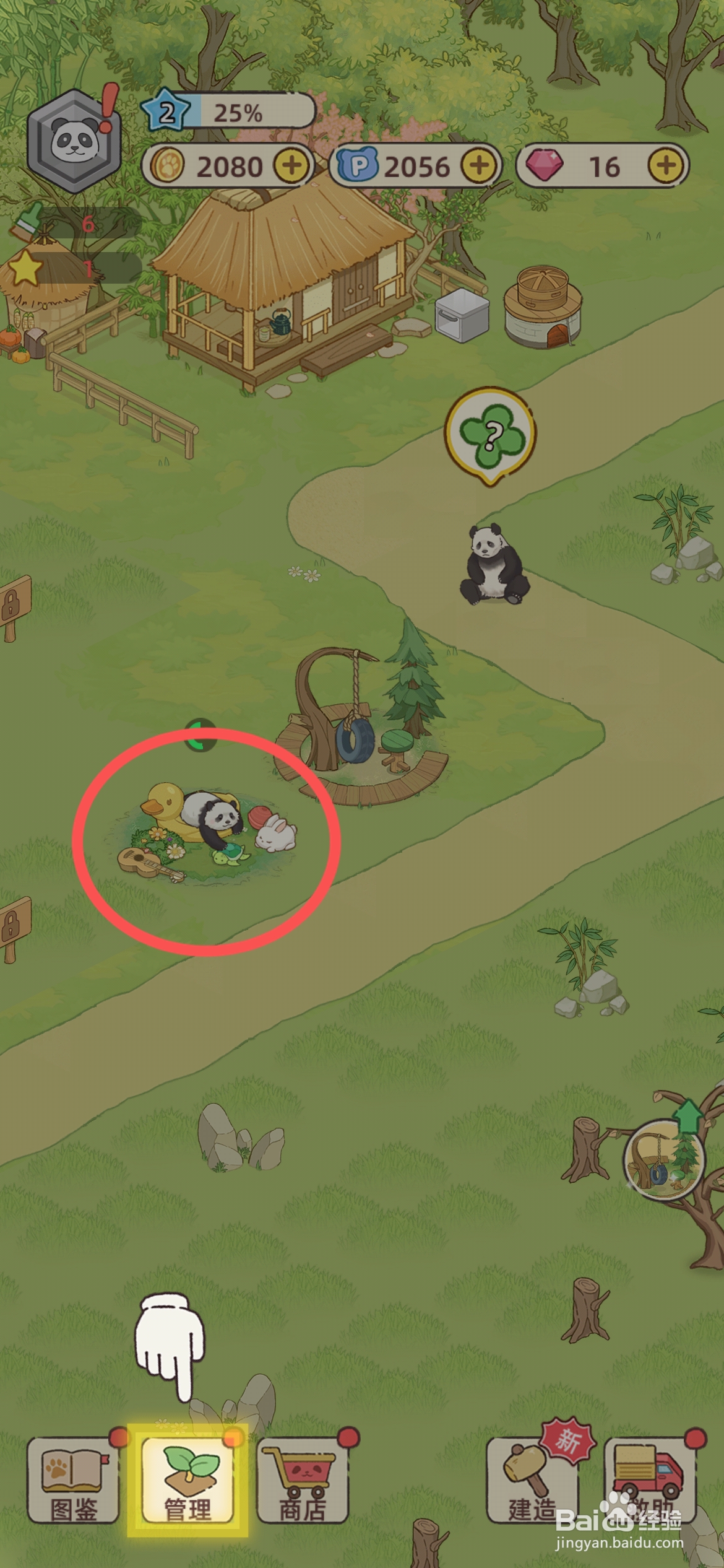 熊猫后院怎么建造玩偶总动员