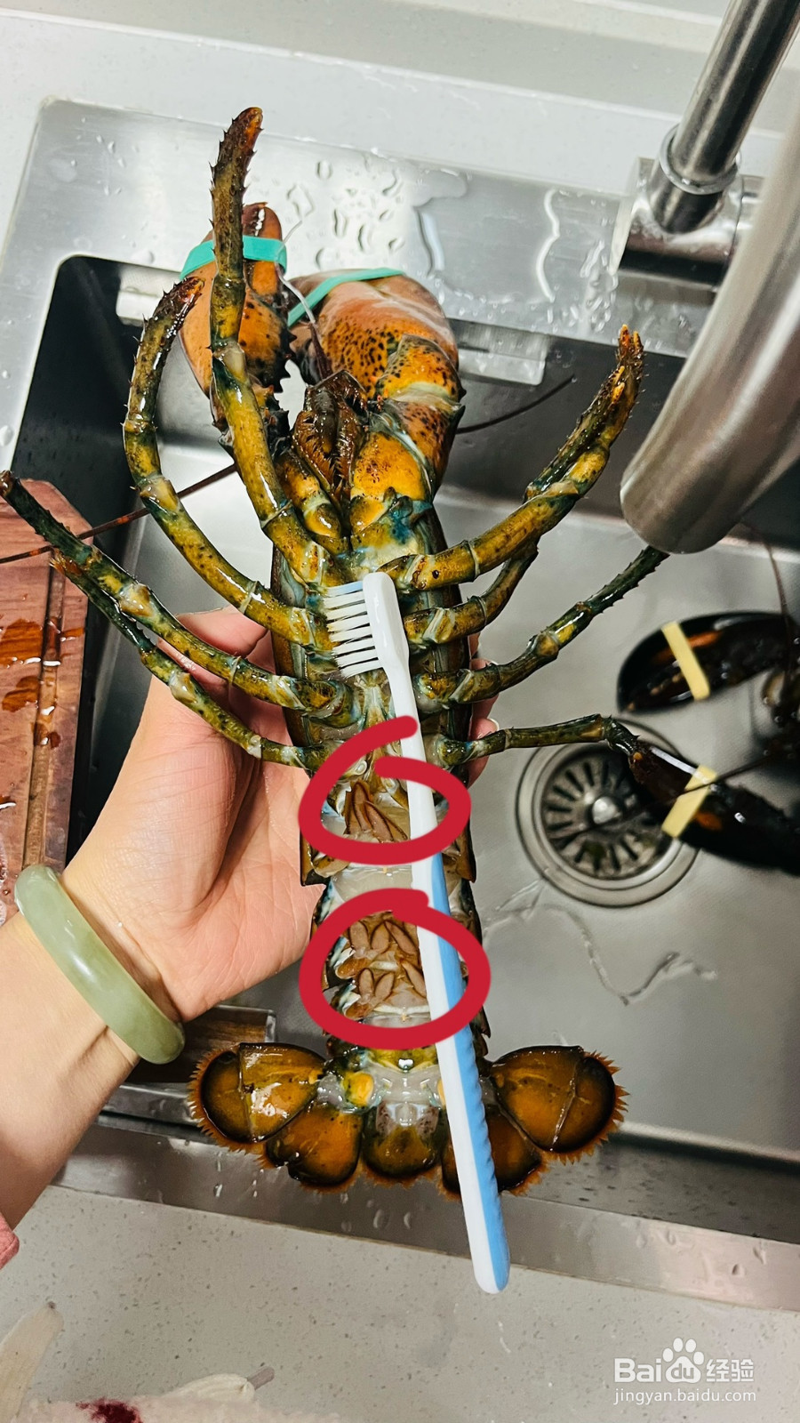 蒜蓉粉丝蒸龙虾的做法