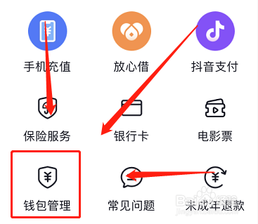 苹果手机抖币可以用支付宝充值吗