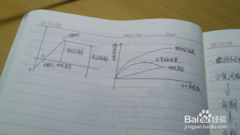 理科生学习高中生物技巧