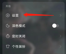 查看网易云音乐App的青少年模式