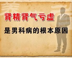 肾精对人体的重要性