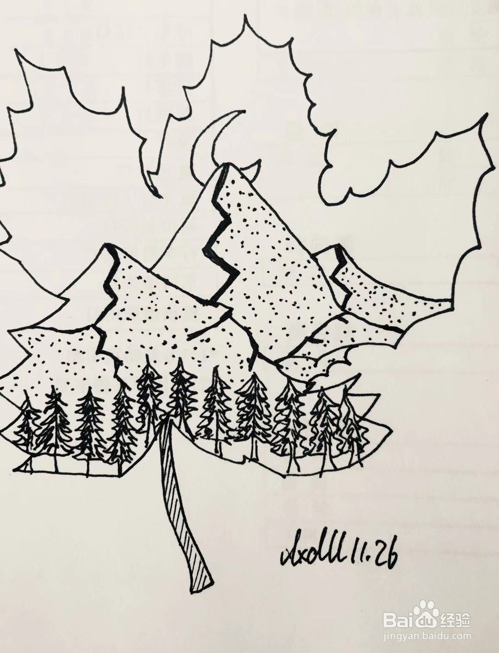 简笔画教程之叶子