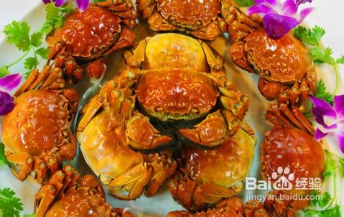 饮食快速减肥法