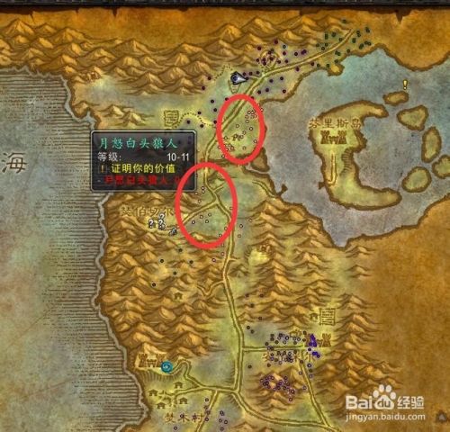 魔兽(怀旧服攻略)