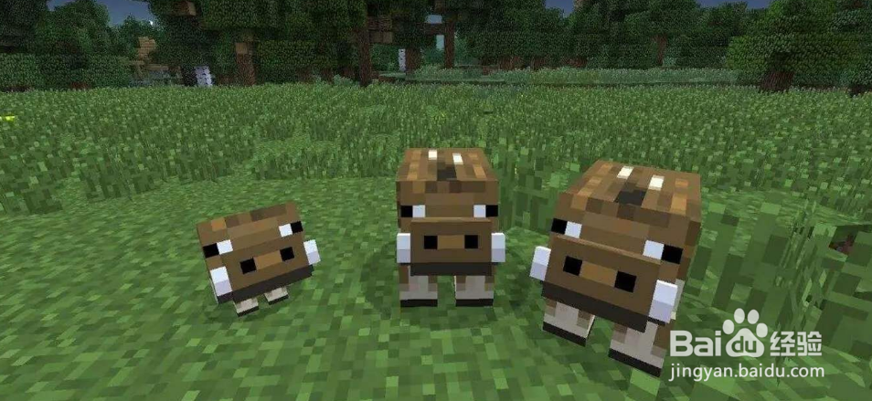 我的世界疣猪兽怎么驯服