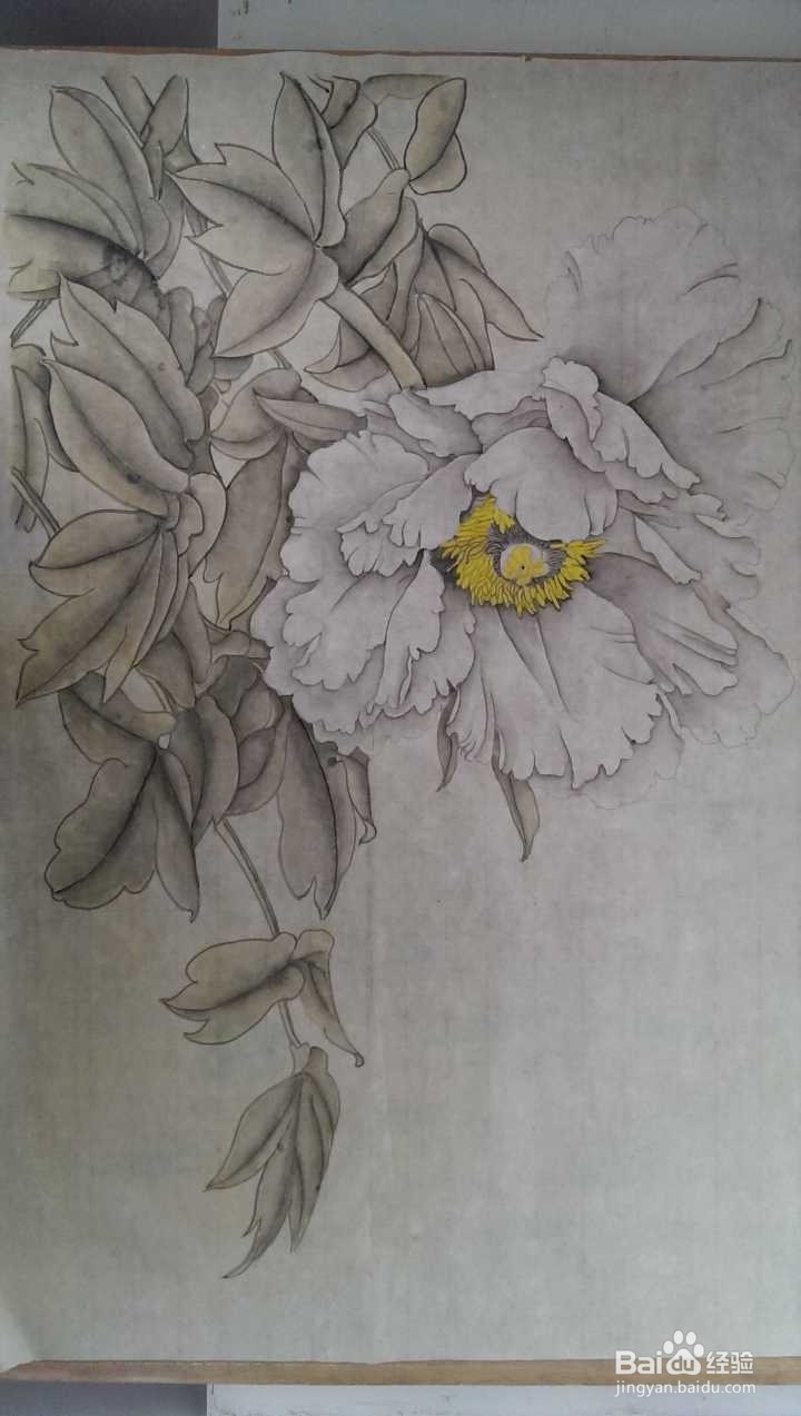 工笔牡丹绘画创作技法