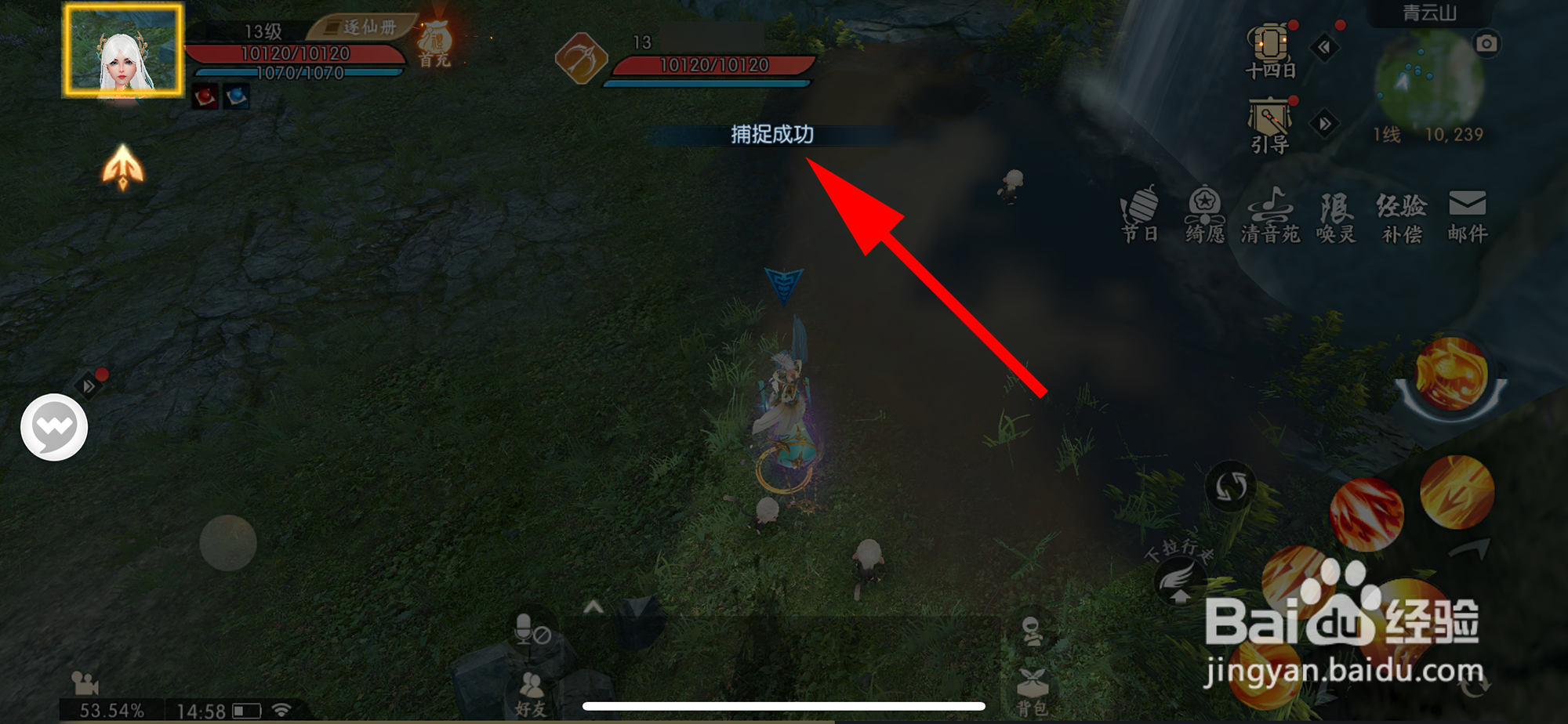 诛仙怎样捕捉宠物
