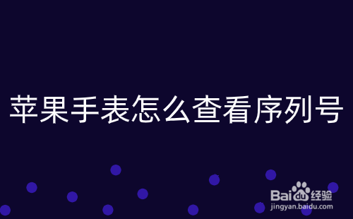 苹果手表怎么查看序列号