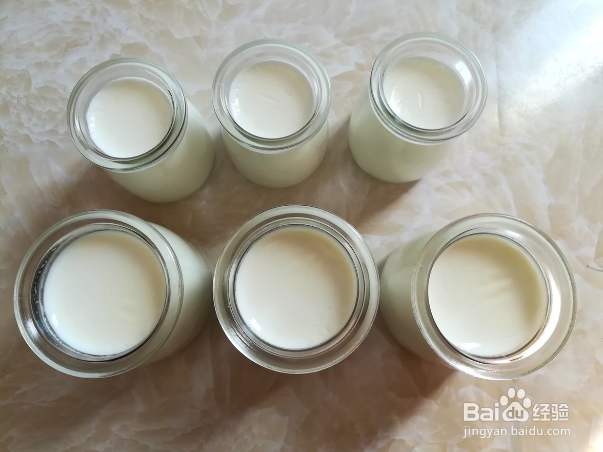 如何制作无糖酸奶？