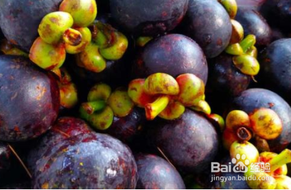 山竹应该怎么选择