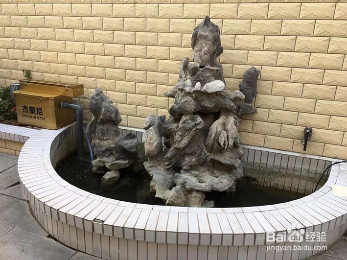 鱼池过滤系统，到底我们该如何选择？