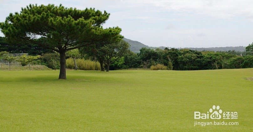 第一次的感觉你记得之开始重视身体。