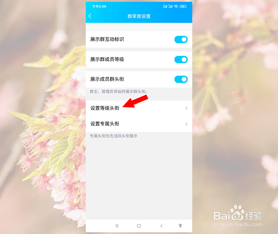 怎么修改QQ群等级头衔名字