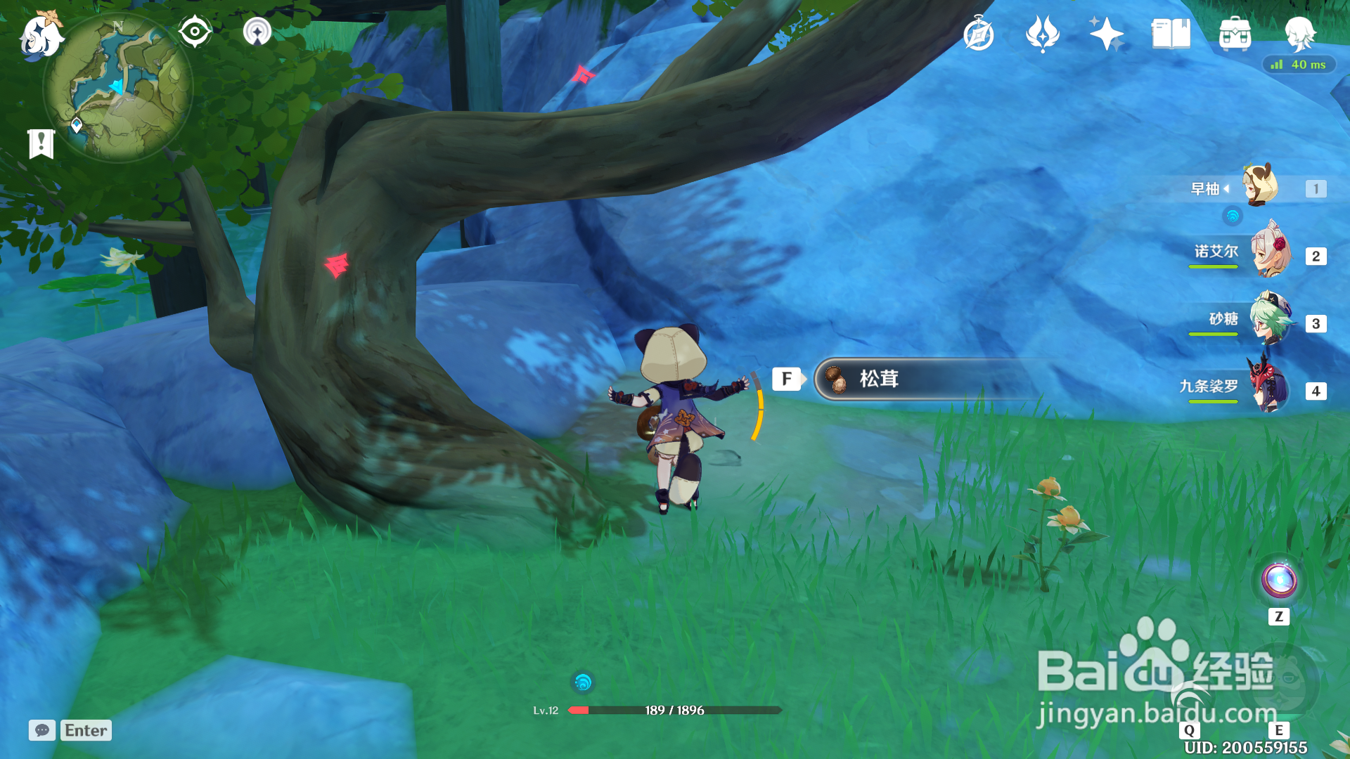 原神松茸在哪获得