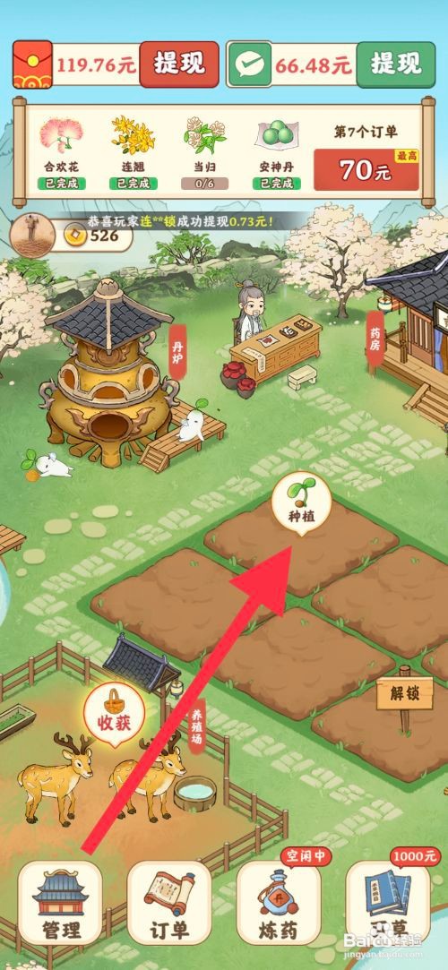 杏林世家怎么种植地黄