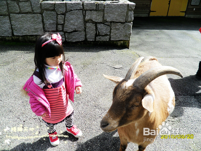 拾海的孩子&亲亲小动物(组图)