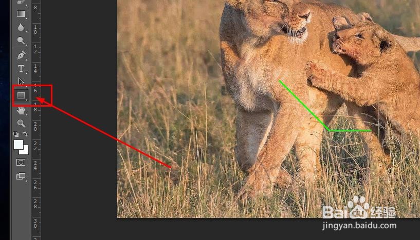 Photoshop如何绘制标签