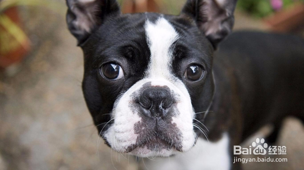 眼睛花了教你怎样修复