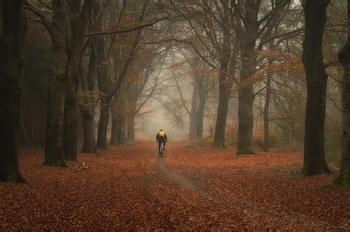 秋季应当注意的问题。