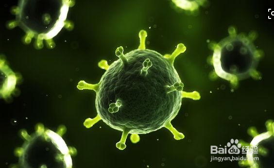 男性初期尖锐湿尤症状是什么