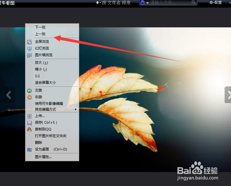 如何使用可牛看图的上一张功能